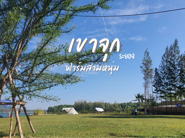 ⛺️เขาจุก ฟาร์มสามหนุ่ม
