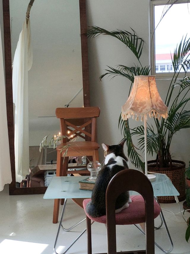Cozy Afternoon Tea Experience at Flos Cafe in Cheras