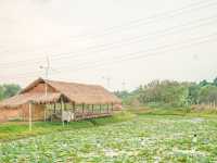 บ้านสวนธรรมชาติ จ.อยุธยา
