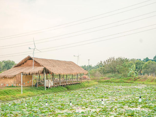 บ้านสวนธรรมชาติ จ.อยุธยา