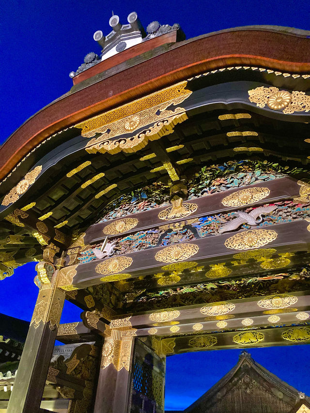 【京都旅】期間限定 ライトアップされた夜の二条城