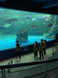🐠Bangsaen Aquarium ดูปลาที่บางแสน✨