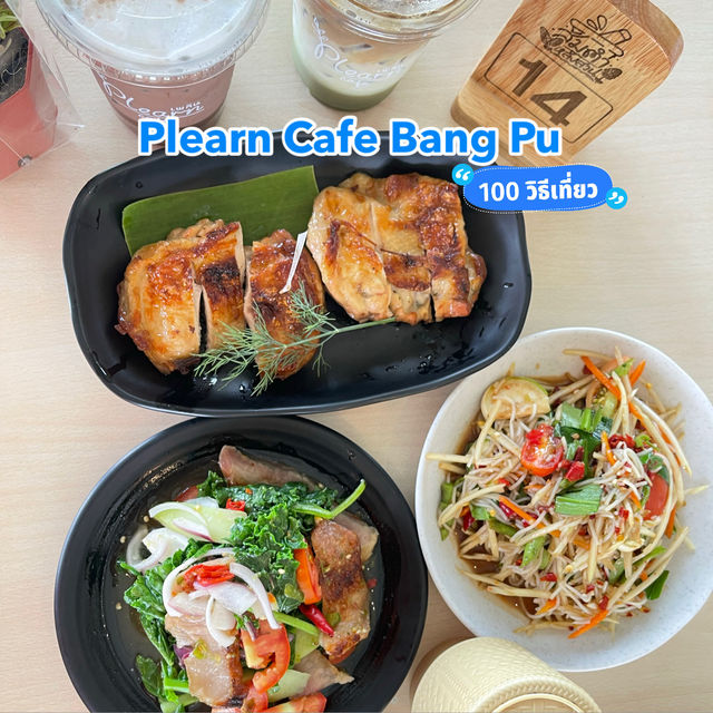 เพลินคาเฟ่บางปู 