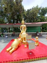 ขับรถไปเที่ยวพัทยากัน
