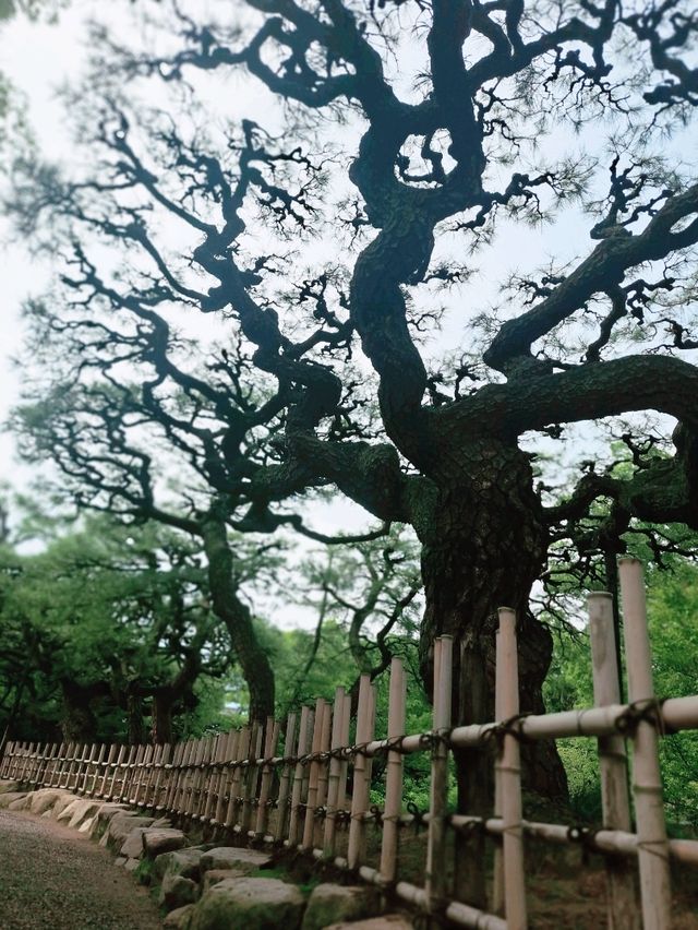 【香川・高松】栗林公園で日本の夏を堪能♪