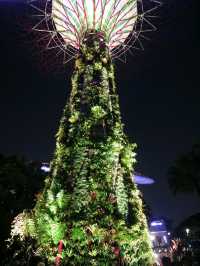 Supertree Grove, the signature attraction in Garden by the bay