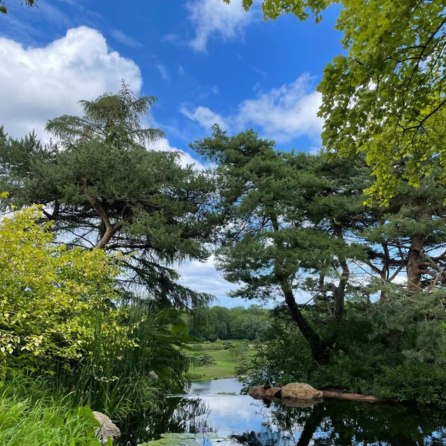 太平山國家森林遊樂區🌳綠洲中的世外桃源