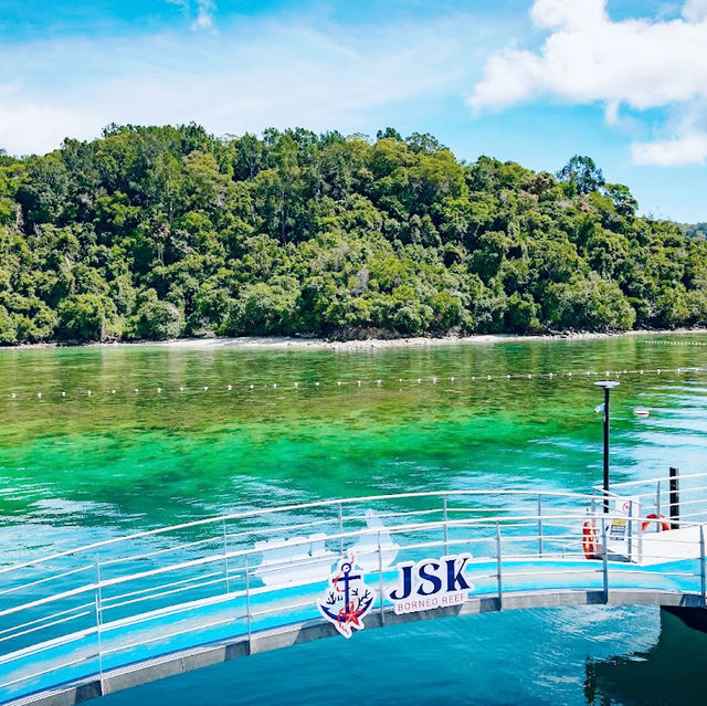 JSK Borneo Reef (JSK Counter)