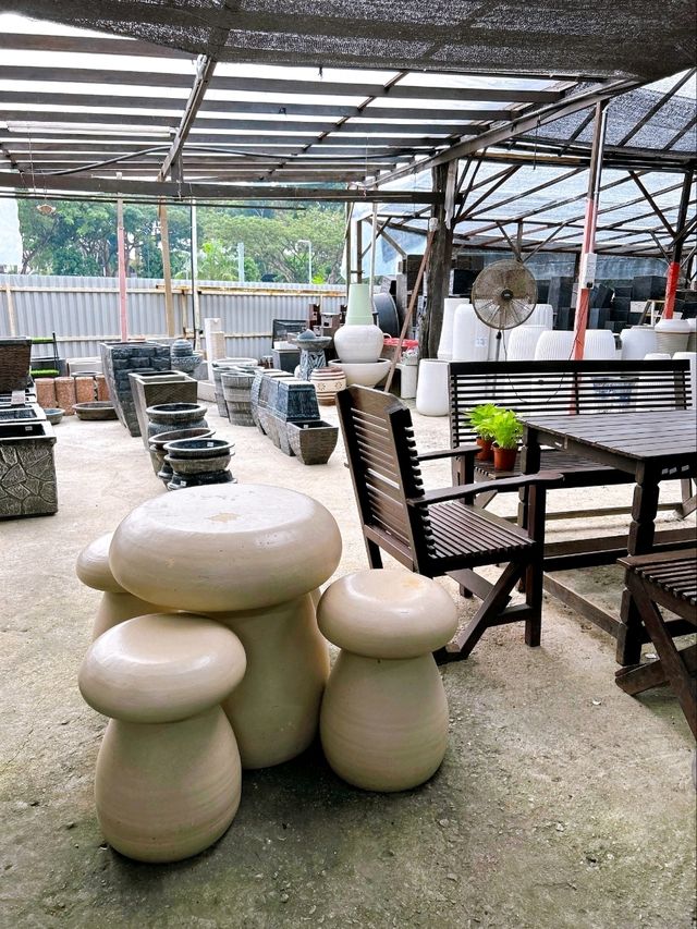 Transforming Spaces with AGRO Nursery’s Landscaping Service