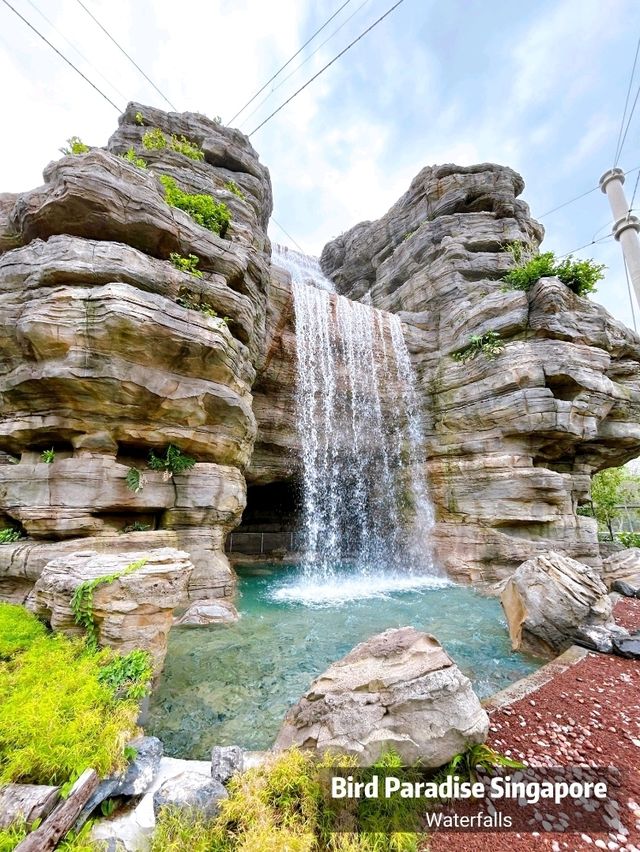 Bird Paradise Singapore Waterfalls