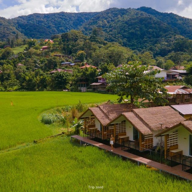 ที่พักที่ใกล้ชิดกับทุ่งนา กลางหมู่บ้านสะปัน น่าน