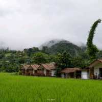 ที่พักที่ใกล้ชิดกับทุ่งนา กลางหมู่บ้านสะปัน น่าน