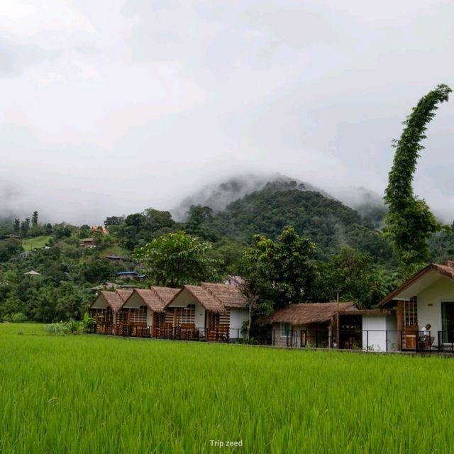 ที่พักที่ใกล้ชิดกับทุ่งนา กลางหมู่บ้านสะปัน น่าน