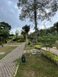 รีวิวที่พัก The Mangrove by Blu Monkey