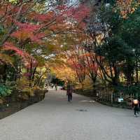 上野動物園簡～親親可愛動物