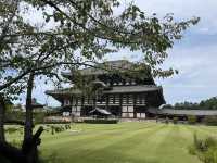 東大寺/ 祈禱天下太平的宏偉寺院