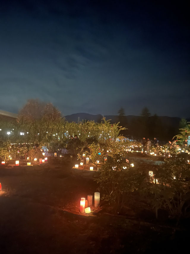 【熊本観光】復興を願うキャンドルの灯りに癒された🕯✨️