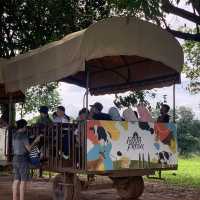 🇲🇾A day with my parents and kids in FarmFresh 🐮 