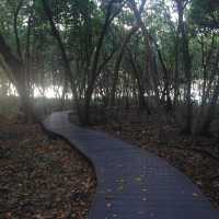 Green Island