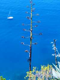 Journey Along the Beautiful Coastline: Hiking the Monterosso to Vernazza Trail