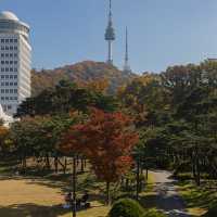 가을에 가볼만한곳 서울 백범광장
