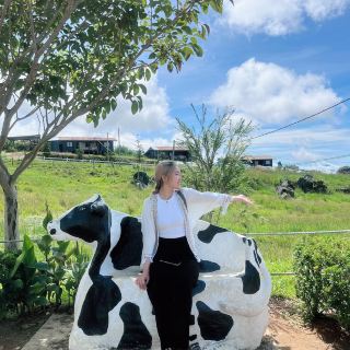 Desa Dairy Farm - A Must-Visit Trip in Sabah, Malaysia
