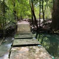 น้ำพุธรรมชาติบ้านท่าช้าง 