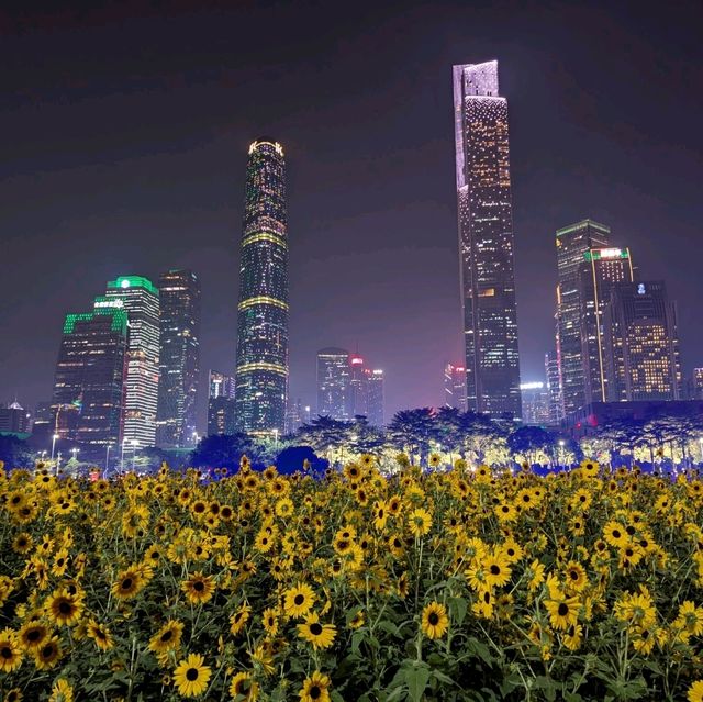 Guangzhou. Historical buildings and skyscrapers