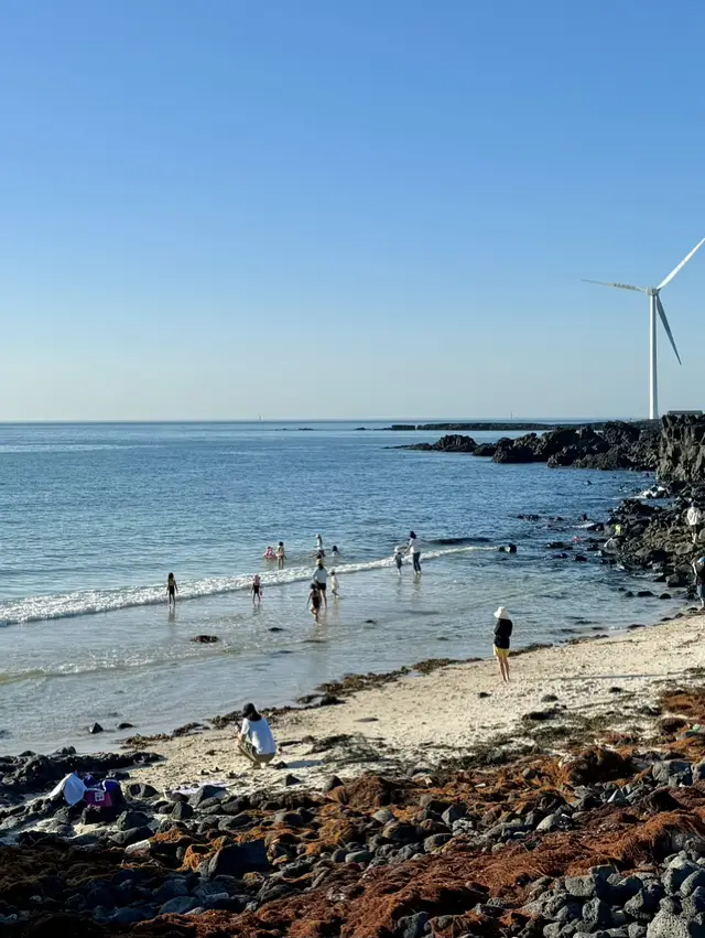 월령 선인장 군락지 티켓 할인, 운영 시간, 후기 [2025년] | Trip.com