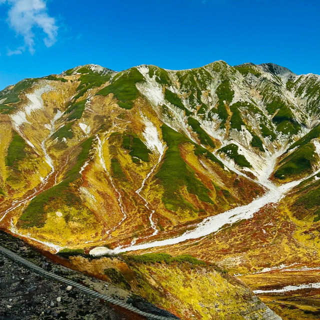 禮文岳：初秋色彩下的壯麗山景 🏞️🍂