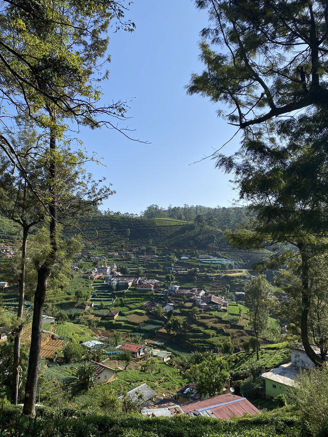 Nuwara Eliya Central Province