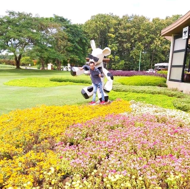 Singha Park Chiang Rai