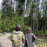 【熊本】自然を満喫！鍋ヶ滝へ