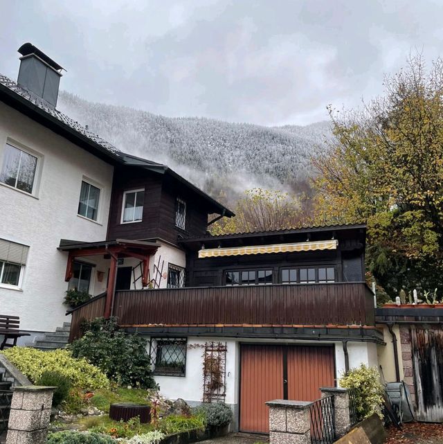 秋冬上特勞恩，綠色草地秋葉與雪山
