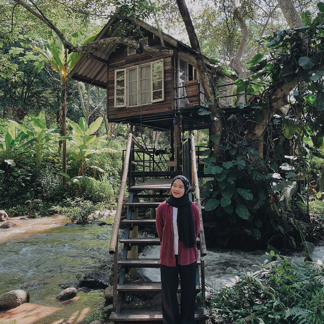 นอนบนต้นไม้ มีจริงหรอ!!! 🌳🌳