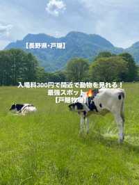 【戸隠】戸隠にある最強牧場🐮🔥