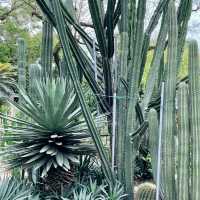 家園植物園：綠意自然樂園 🌿🌼