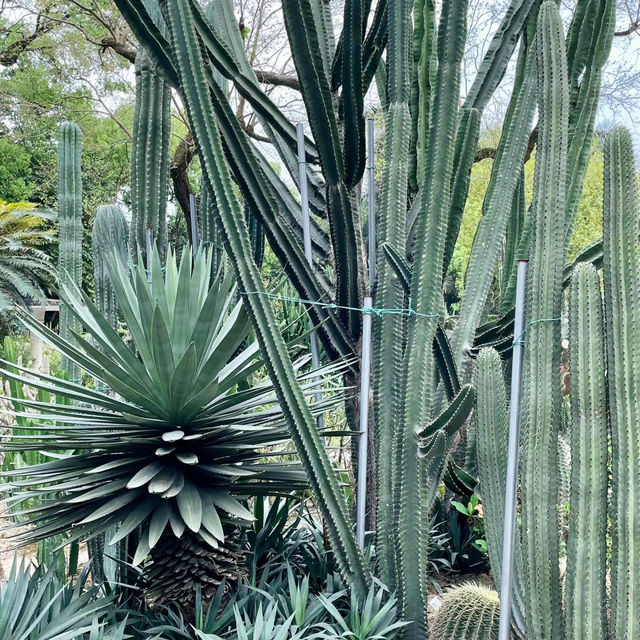 家園植物園：綠意自然樂園 🌿🌼