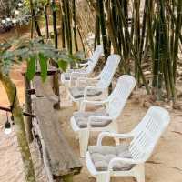 คลองหลังบ้าน Cafe camp