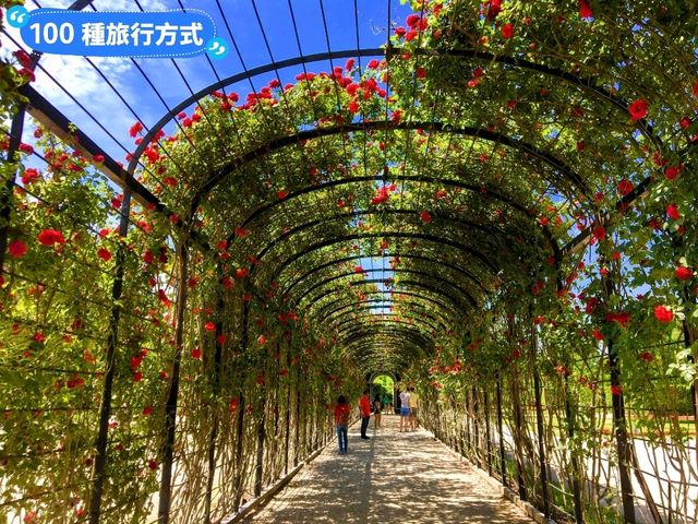 奧地利皇室的避暑夏宮：美泉宮 Schloss Schönbrunn