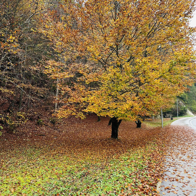Autumn at Kranjska Gora, Slovenia