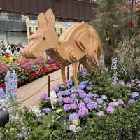 Nature's Palette: Discovering the Latest Blooms at Gardens by the Bay