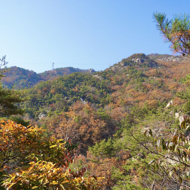 가을에 오르면 제맛인 경기5악 명산 오르기 - 관악산 