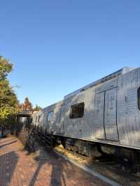 공룡전시물을 구경할 수 있는 과천과학관😇