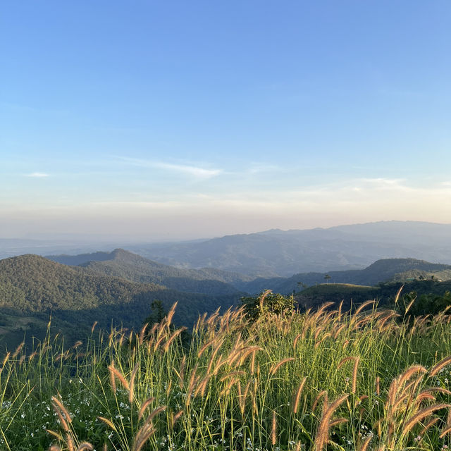 ดอยช้าง เชียงราย ⛰️🐘