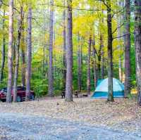 Planning a Camping Adventure in Taman Negara National Park