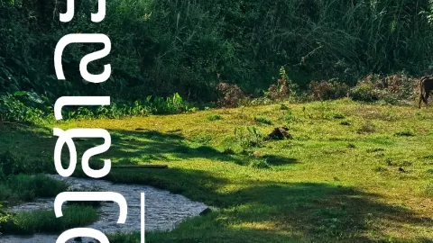 ขับมอไซค์เที่ยวแขวงสาละวัน — traveler post in สาละวัน