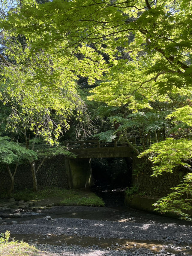 龍雄神社