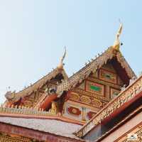 วัดป่าพุทธคยา