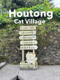 หมู่บ้านแมวที่ไต้หวัน Houtong Cat Village